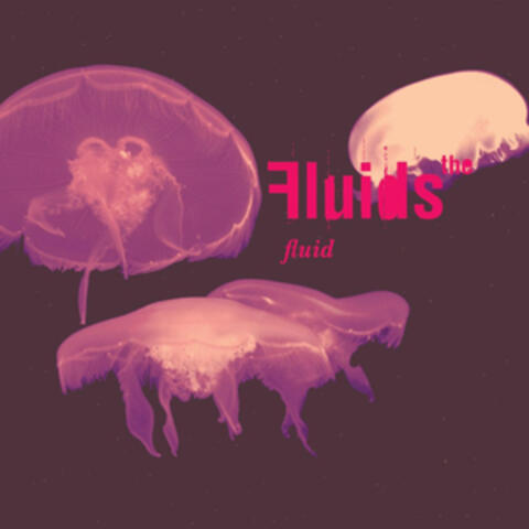 Fluid