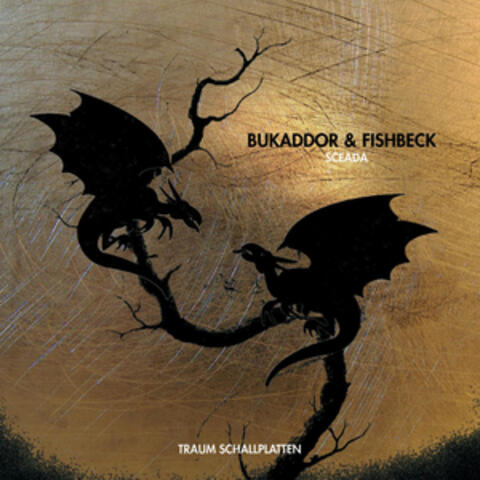Bukadddor & Fishbeck