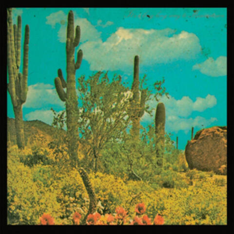 It's a Long Long Way To Meximotown