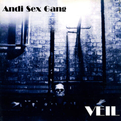 Veil