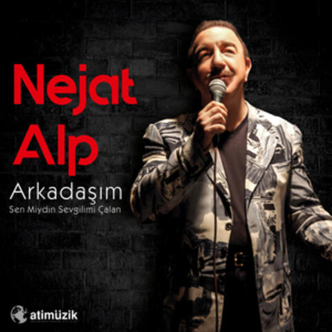 Arkadaşım / Sen Miydin Sevgilimi Çalan