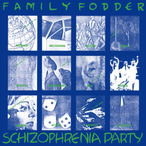Schizophrenia Party