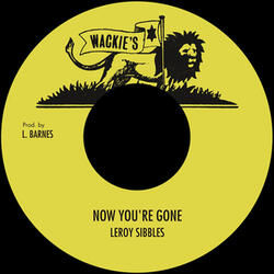 Now You're Gone