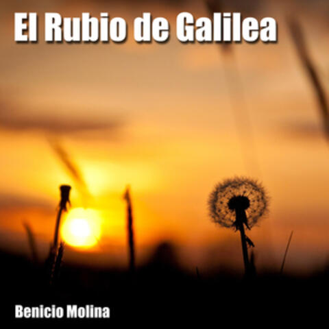 El Rubio de Galilea