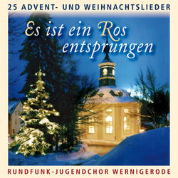 O Tannenbaum