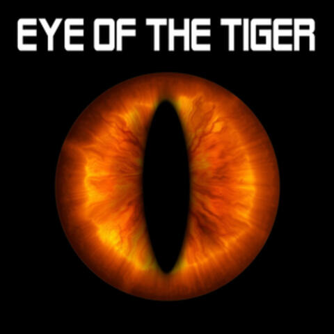 Eye of the Tiger