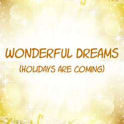 Wonderful Dream (Holidays Are Coming)