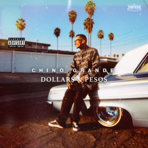 Dollars & Pesos