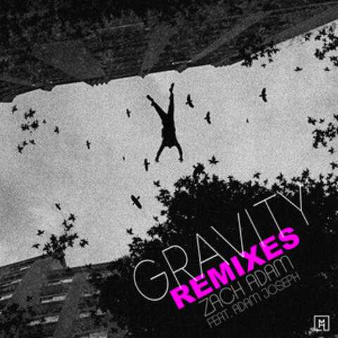 Gravity (Remixes)