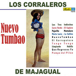 Tengo Tengo