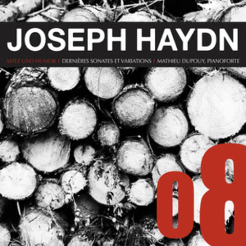 Haydn: Dernières Sonates et Variations