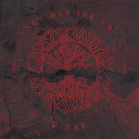 Vitae