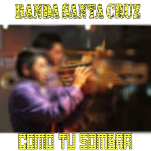 Como Tu Sombra