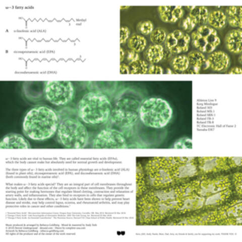 Ω−3 Fatty Acids