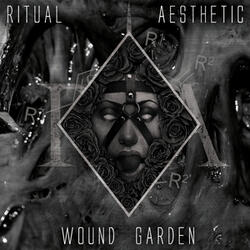 Amnesiac (Xentrifuge Remix)