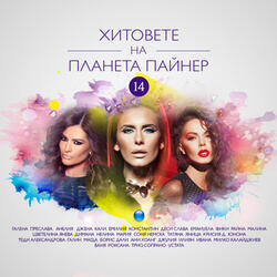Питбул