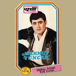 Bir Ay Doğdu Meşeden