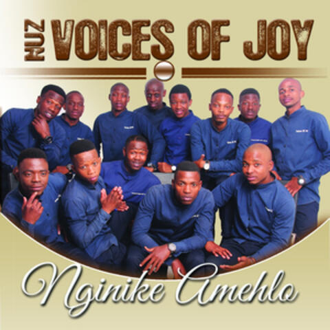 Nginike Amehlo