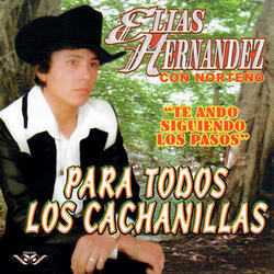 Te Ando Siguiendo los Pasos