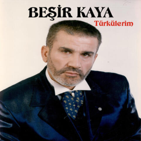 Türkülerim