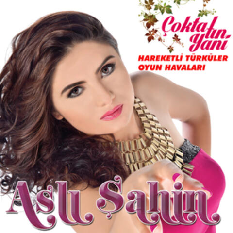 Hareketli Türküler Oyun Havaları / Çokta Tın Yani