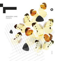 Püünis (Bill Wells remix)