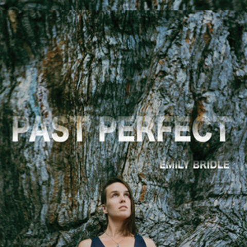 Past Perfect