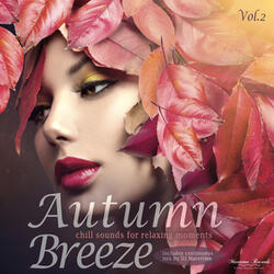 Autumn Breeze Vol.2 - Continuous Mix
