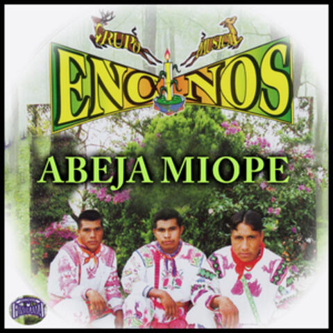 Abeja Miope