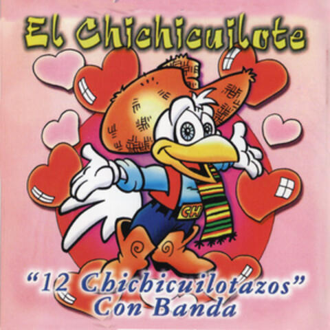 12 Chichicuilotazos Con Banda