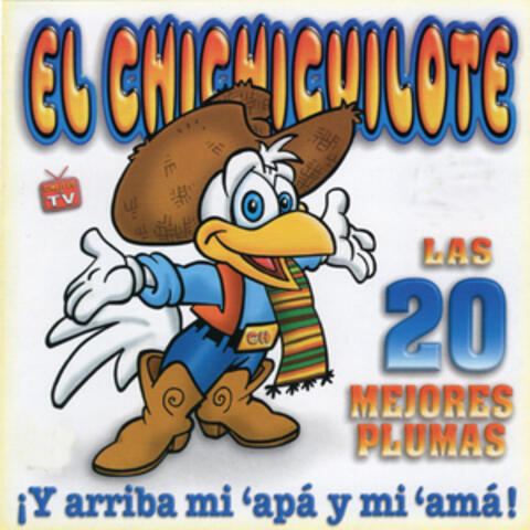 Las 20 Mejores Plumas