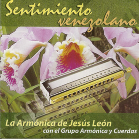 Sentimiento Venezolano