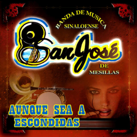 Aunque Sea a Escondidas