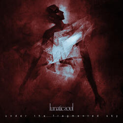 Under the Fragmented Sky