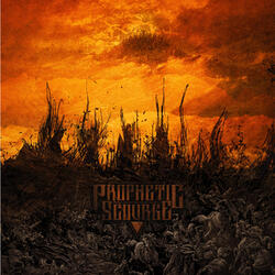 The Medium - a Spider Goddes is Revealed