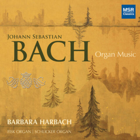 Johann Sebastian Bach: Organ Music