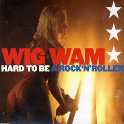 Hard to Be a Rock'n'roller