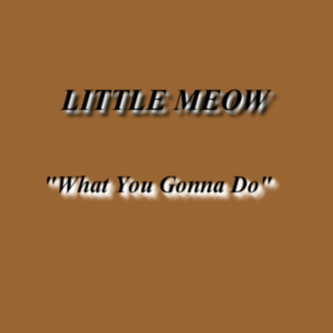 What You Gonna Do
