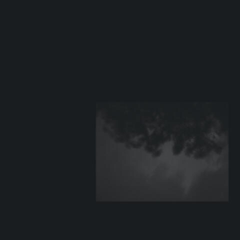 What Wind Whispered To The Trees