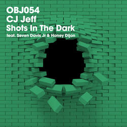 Shots in the Dark