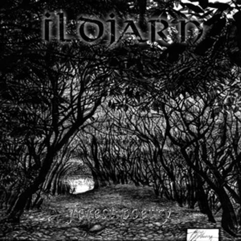 Forest Poetry