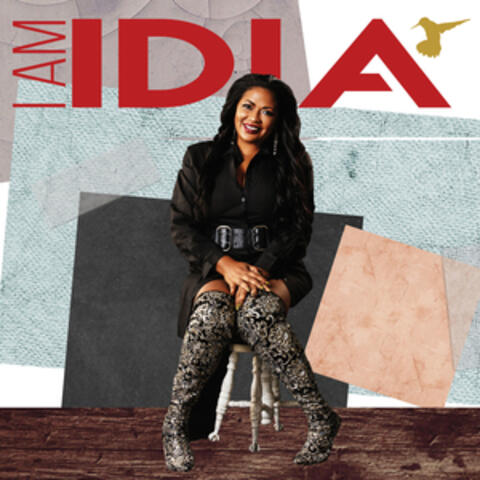 I Am IDIA