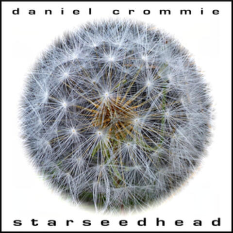 Starseedhead