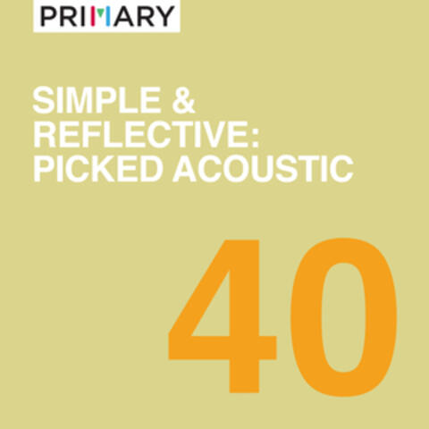 Simple & Reflective: Picked Acoustic