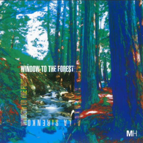 Window to the Forest