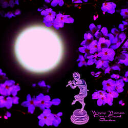 Pan's Secret Garden