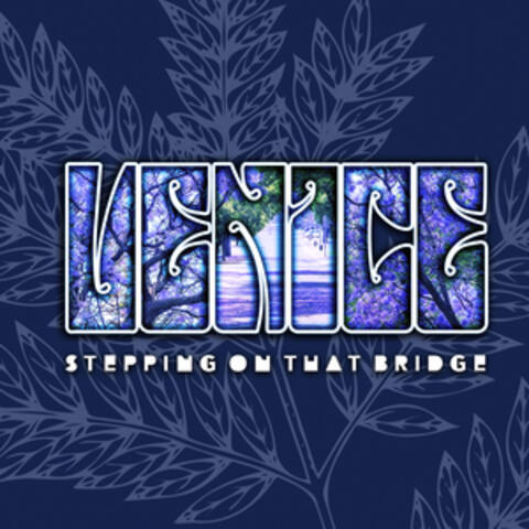 Stepping on That Bridge