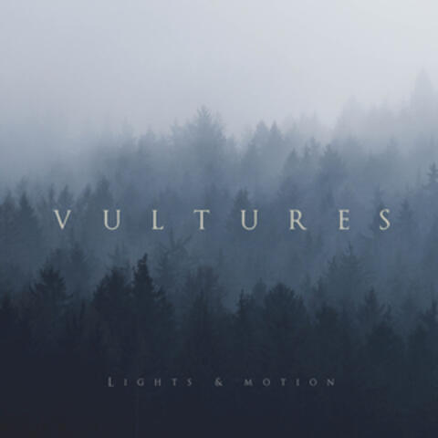 Vultures