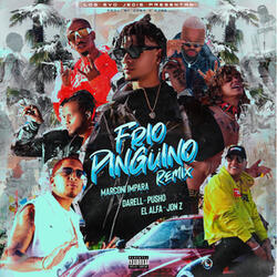 Frio Pinguino (Remix)