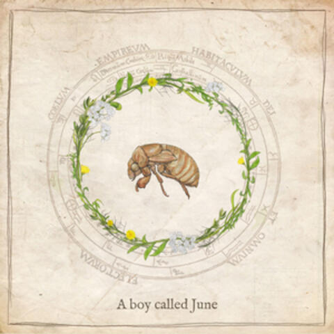 A Boy Called June
